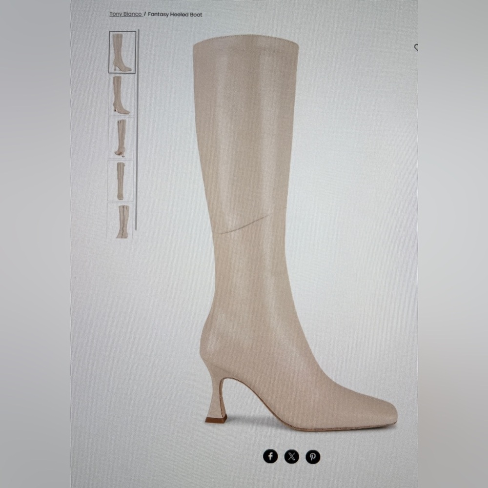 Fantasy Heeled Boot Tony Bianco 6.5